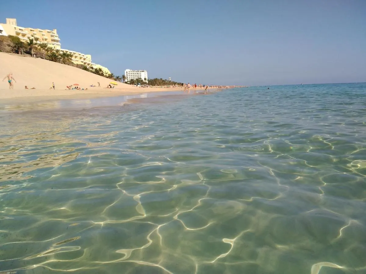 Apartments Palm Garden Morro Jable  Morro Jable (Fuerteventura)